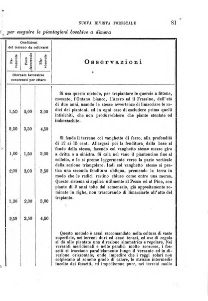 Nuova rivista forestale