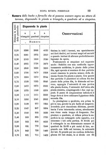 Nuova rivista forestale