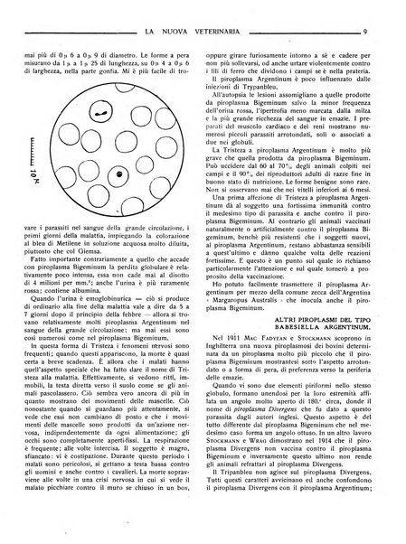 La nuova veterinaria rivista mensile fondata e diretta da Alessandro Lanfranchi