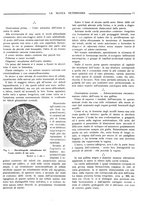 giornale/TO00190201/1924/unico/00000017