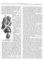 giornale/TO00190201/1924/unico/00000018