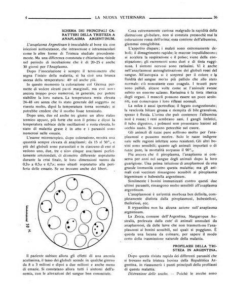 La nuova veterinaria rivista mensile fondata e diretta da Alessandro Lanfranchi