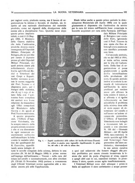 La nuova veterinaria rivista mensile fondata e diretta da Alessandro Lanfranchi