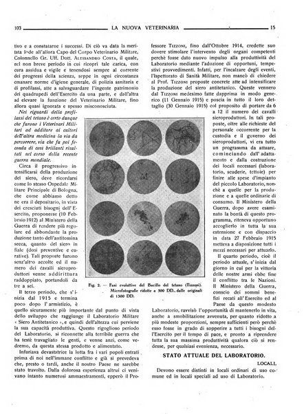 La nuova veterinaria rivista mensile fondata e diretta da Alessandro Lanfranchi