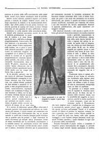 giornale/TO00190201/1924/unico/00000164