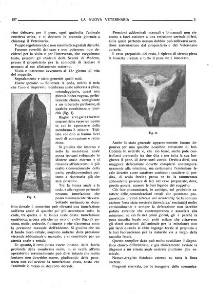 La nuova veterinaria rivista mensile fondata e diretta da Alessandro Lanfranchi