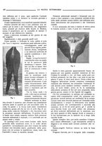 giornale/TO00190201/1924/unico/00000239