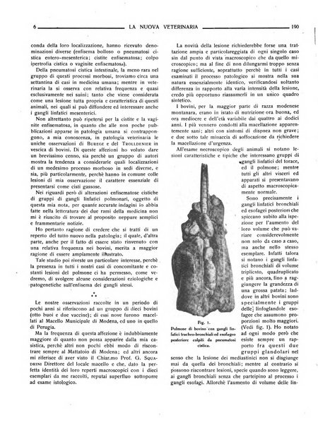 La nuova veterinaria rivista mensile fondata e diretta da Alessandro Lanfranchi