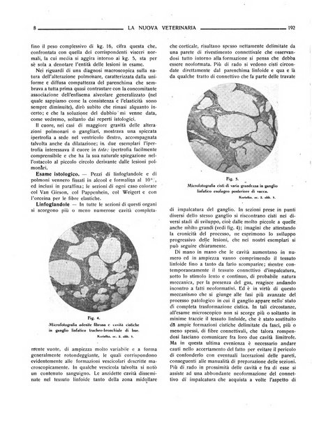 La nuova veterinaria rivista mensile fondata e diretta da Alessandro Lanfranchi