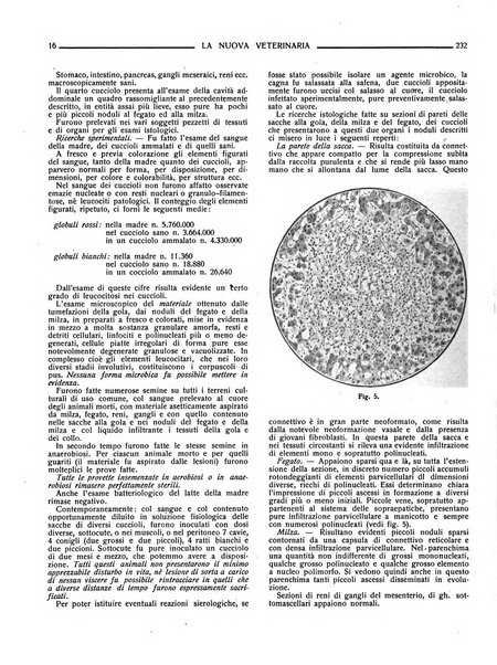 La nuova veterinaria rivista mensile fondata e diretta da Alessandro Lanfranchi