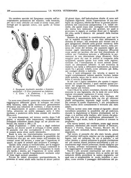 La nuova veterinaria rivista mensile fondata e diretta da Alessandro Lanfranchi