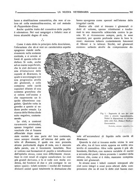 La nuova veterinaria rivista mensile fondata e diretta da Alessandro Lanfranchi