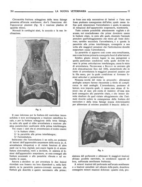 La nuova veterinaria rivista mensile fondata e diretta da Alessandro Lanfranchi