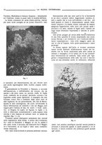 giornale/TO00190201/1925/unico/00000022