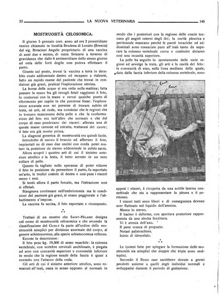 La nuova veterinaria rivista mensile fondata e diretta da Alessandro Lanfranchi