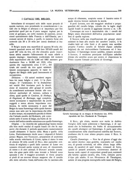 La nuova veterinaria rivista mensile fondata e diretta da Alessandro Lanfranchi