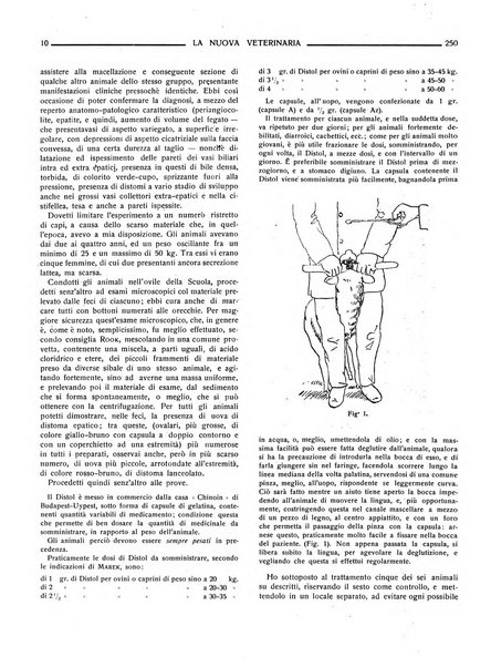 La nuova veterinaria rivista mensile fondata e diretta da Alessandro Lanfranchi