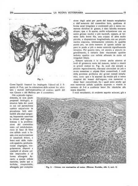 La nuova veterinaria rivista mensile fondata e diretta da Alessandro Lanfranchi