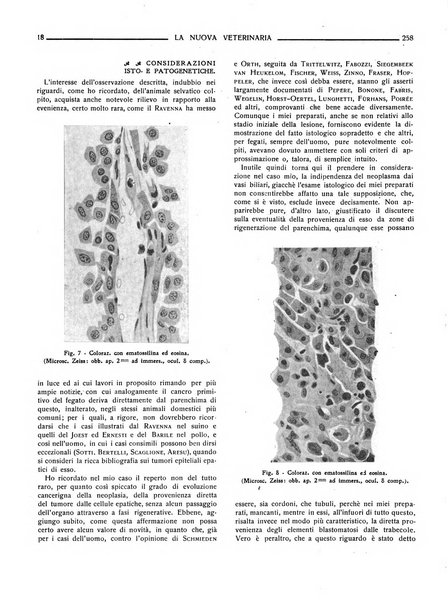 La nuova veterinaria rivista mensile fondata e diretta da Alessandro Lanfranchi