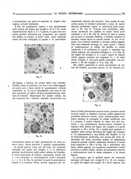 La nuova veterinaria rivista mensile fondata e diretta da Alessandro Lanfranchi