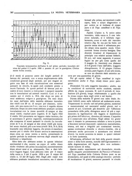 La nuova veterinaria rivista mensile fondata e diretta da Alessandro Lanfranchi