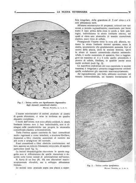 La nuova veterinaria rivista mensile fondata e diretta da Alessandro Lanfranchi