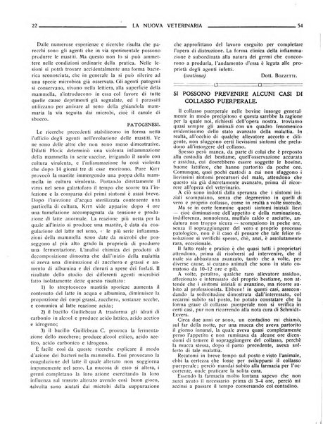 La nuova veterinaria rivista mensile fondata e diretta da Alessandro Lanfranchi