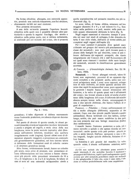 La nuova veterinaria rivista mensile fondata e diretta da Alessandro Lanfranchi