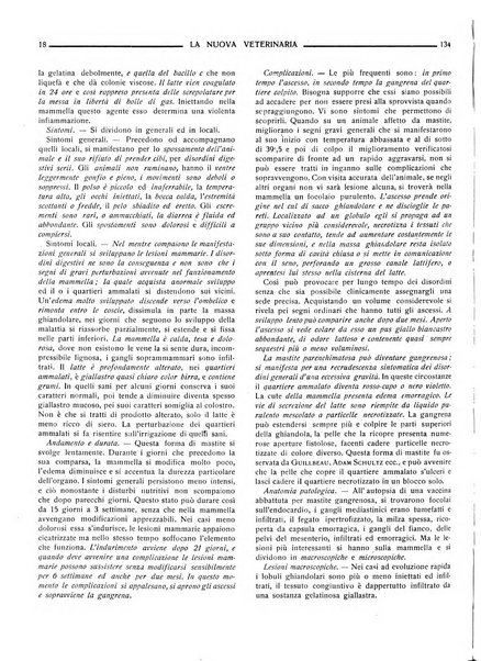 La nuova veterinaria rivista mensile fondata e diretta da Alessandro Lanfranchi