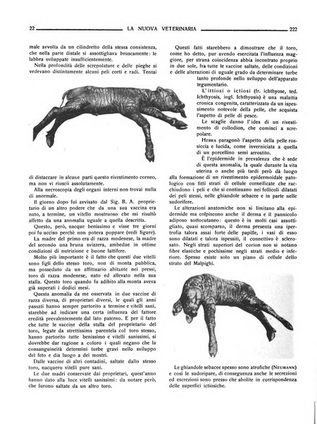 La nuova veterinaria rivista mensile fondata e diretta da Alessandro Lanfranchi