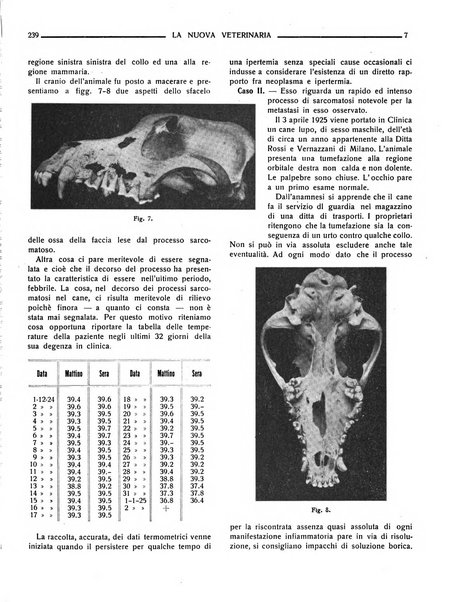 La nuova veterinaria rivista mensile fondata e diretta da Alessandro Lanfranchi