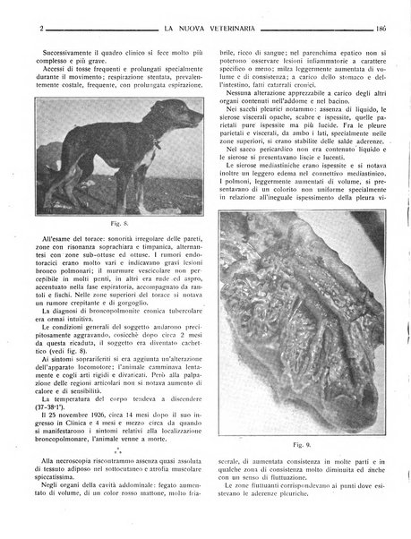 La nuova veterinaria rivista mensile fondata e diretta da Alessandro Lanfranchi