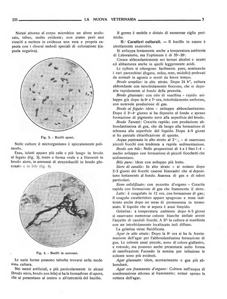 La nuova veterinaria rivista mensile fondata e diretta da Alessandro Lanfranchi