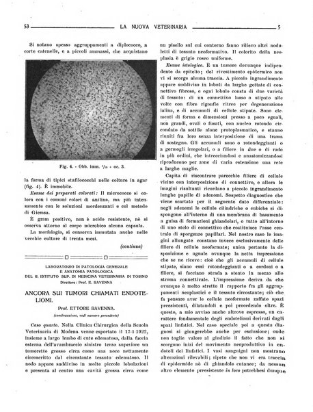 La nuova veterinaria rivista mensile fondata e diretta da Alessandro Lanfranchi