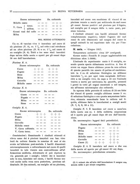 La nuova veterinaria rivista mensile fondata e diretta da Alessandro Lanfranchi