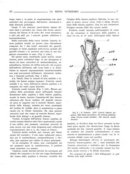 La nuova veterinaria rivista mensile fondata e diretta da Alessandro Lanfranchi