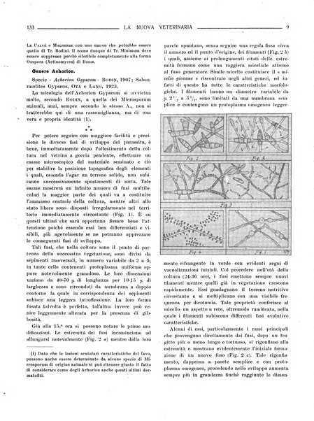 La nuova veterinaria rivista mensile fondata e diretta da Alessandro Lanfranchi