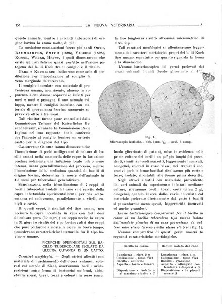 La nuova veterinaria rivista mensile fondata e diretta da Alessandro Lanfranchi