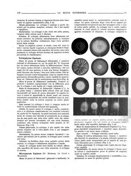 La nuova veterinaria rivista mensile fondata e diretta da Alessandro Lanfranchi