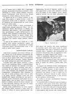 giornale/TO00190201/1931/unico/00000013