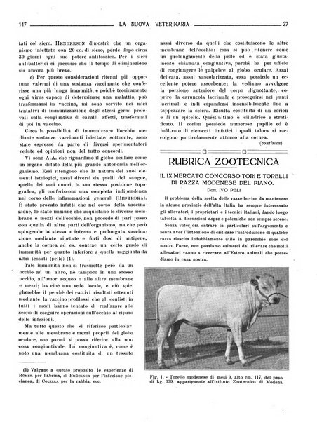 La nuova veterinaria rivista mensile fondata e diretta da Alessandro Lanfranchi