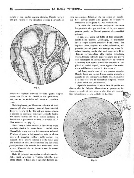 La nuova veterinaria rivista mensile fondata e diretta da Alessandro Lanfranchi