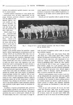 giornale/TO00190201/1931/unico/00000229
