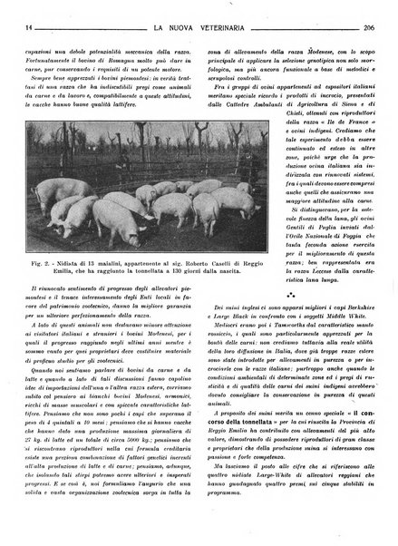 La nuova veterinaria rivista mensile fondata e diretta da Alessandro Lanfranchi