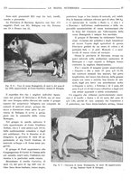 giornale/TO00190201/1931/unico/00000297