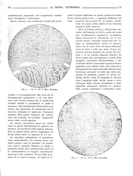 La nuova veterinaria rivista mensile fondata e diretta da Alessandro Lanfranchi