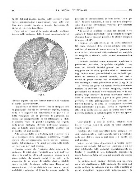 La nuova veterinaria rivista mensile fondata e diretta da Alessandro Lanfranchi