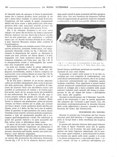 La nuova veterinaria rivista mensile fondata e diretta da Alessandro Lanfranchi