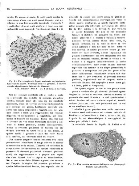 La nuova veterinaria rivista mensile fondata e diretta da Alessandro Lanfranchi