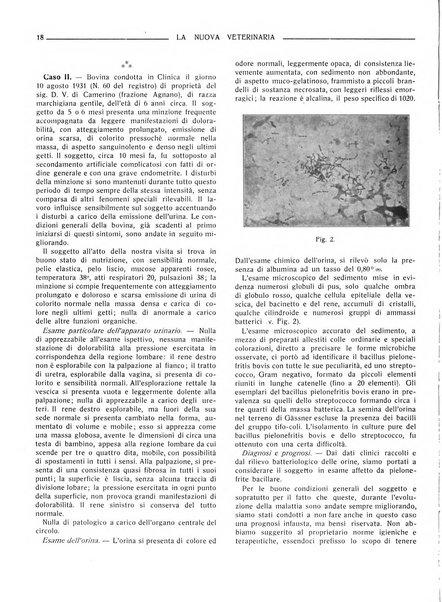 La nuova veterinaria rivista mensile fondata e diretta da Alessandro Lanfranchi